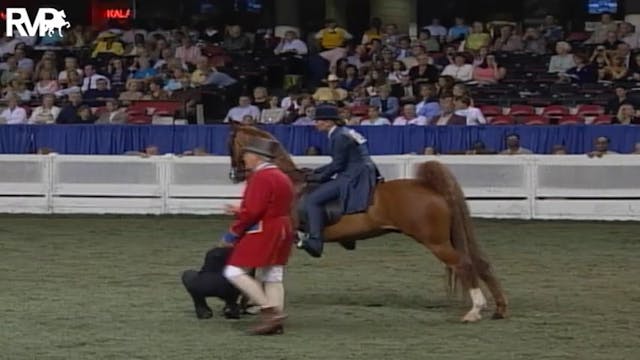 2004 World's Championship Horse Show ...