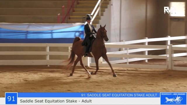 ASF23 - Class 91 -  Saddle Seat Equit...