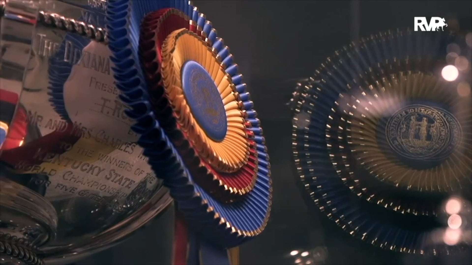 WCHS21 - Class 231 - Texas Pete and Kim Cowart, up - ISO