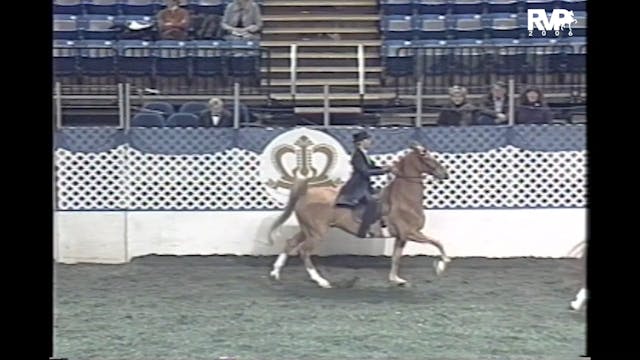 2006 AR - Class 44 UPHA Junior  Chall...