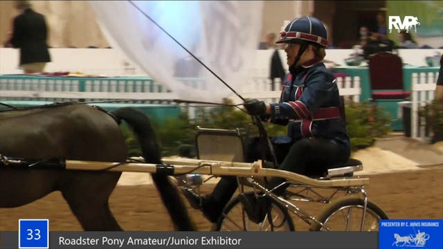 GASP21 - Class 33 - Roadster Pony Ama...