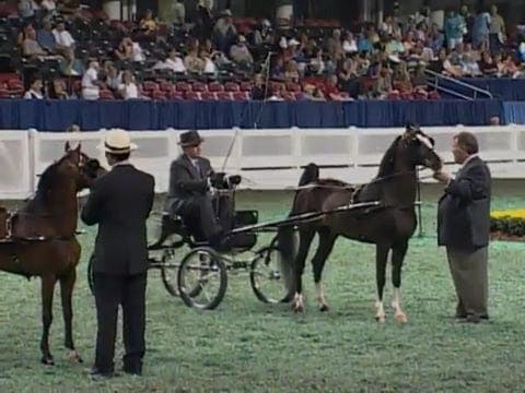 2008 WCHS Class 76 Amateur Gentlemen ...