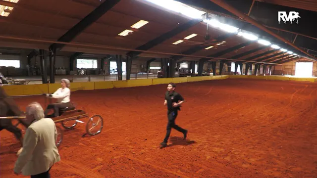 GC26 - Class 1 -  ASB Fine Harness Open