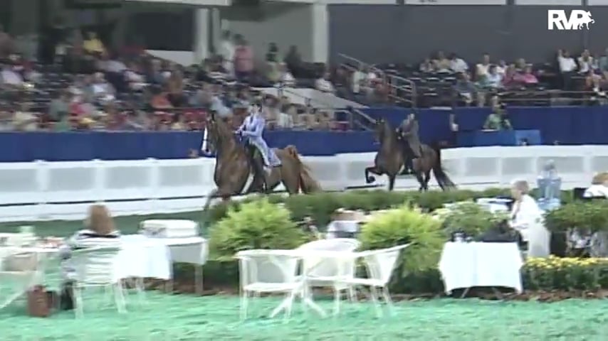 2010 World's Championship Horse Show Class 73 ASB Junior Exhibitor Three Gaited Show Pleasure Rider 13 & Under-Division 1