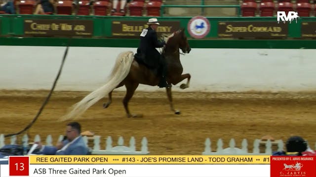 NCSC21 - Class 13 - ASB Three Gaited ...