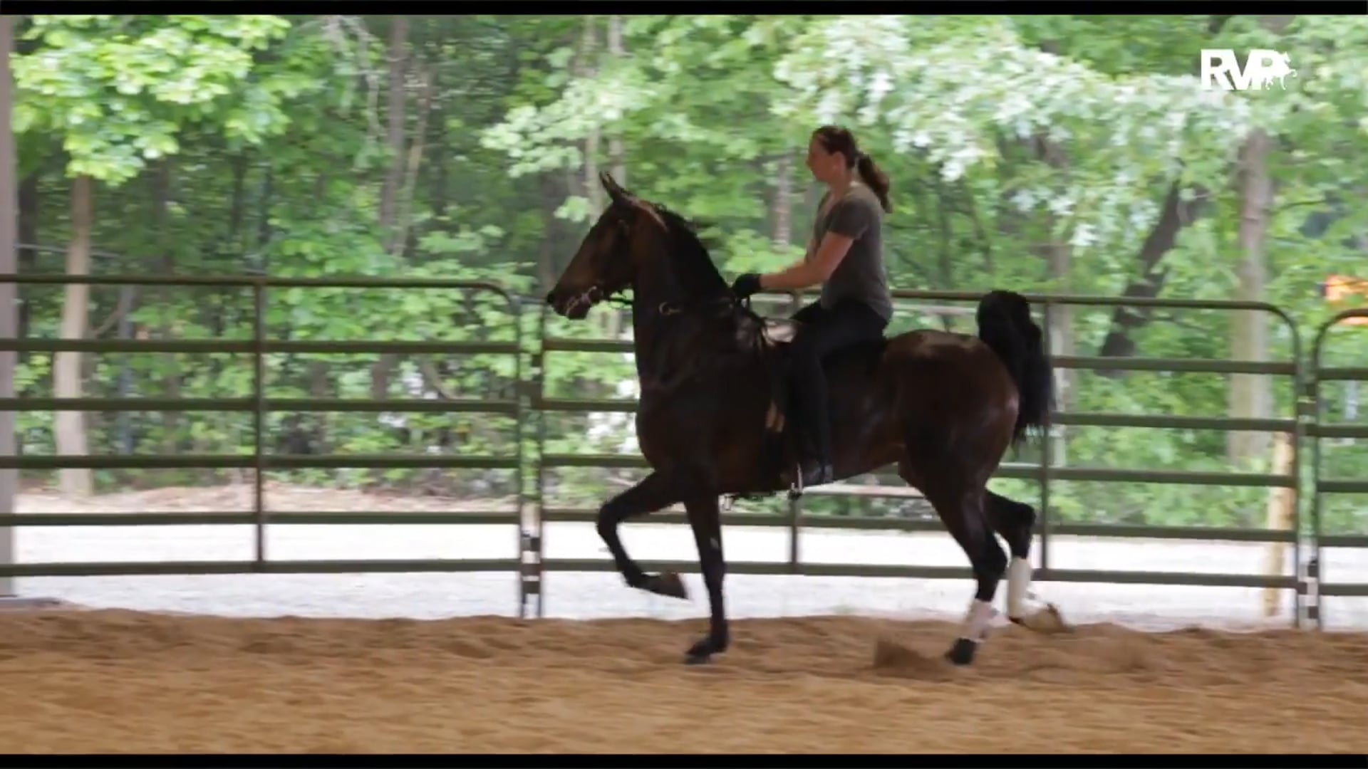 ALCB16 - Wednesday Morning Workout