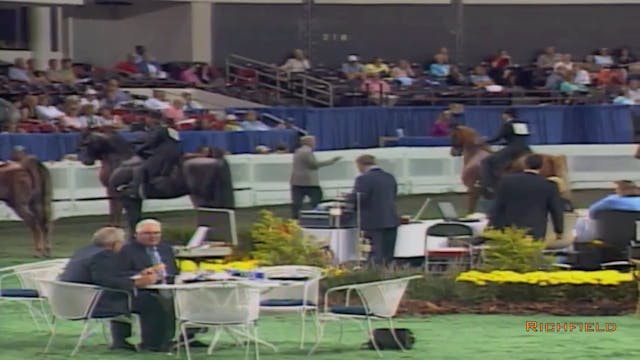 2002 WCHS Class 26 Three Gaited Show ...