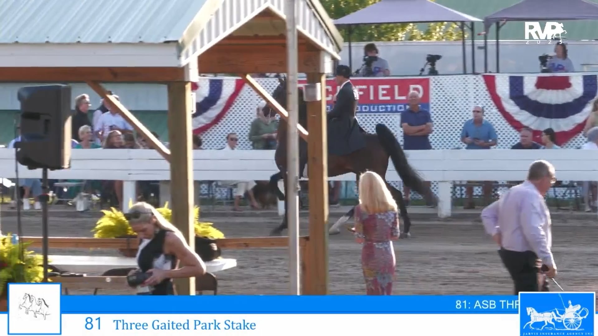 SSC25 - Class 81 - Three Gaited Park Stake