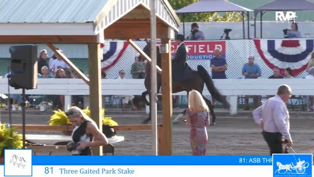 SSC25 - Class 81 - Three Gaited Park ...