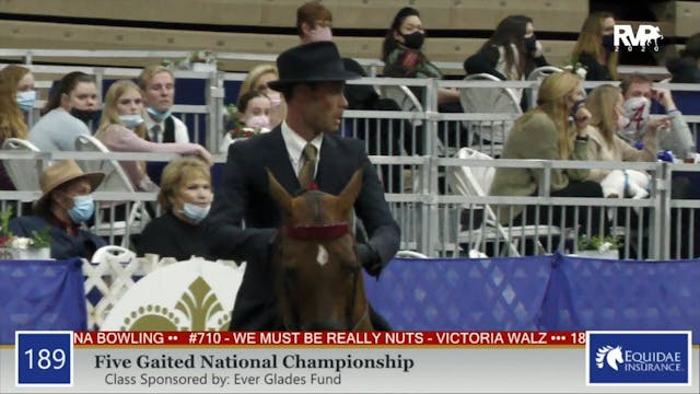 2020 AR - Class 189 Five Gaited Natio...