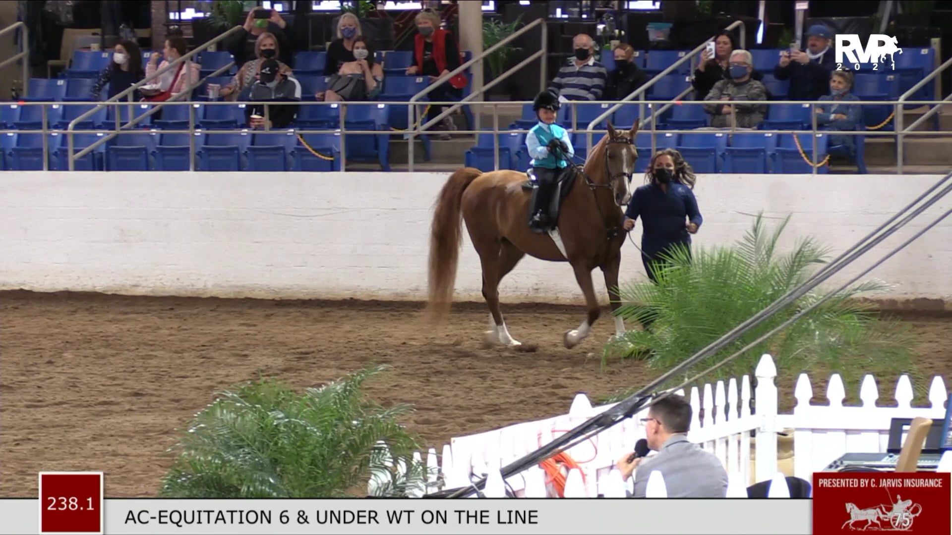 CC21 - Class 238.1 & 238.2 Academy Equitation & Showmanship - On Line - Walk-Trot - Riders 6 & Under