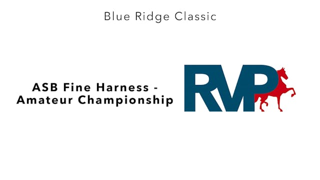 BR24 - Class 174 - ASB Fine Harness -...