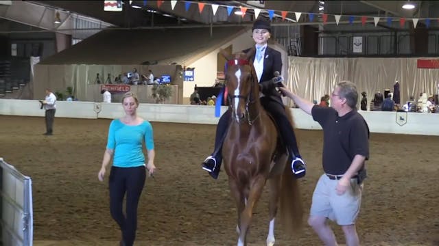 2017UPHA16 - Brooklyn Krone - Champio...