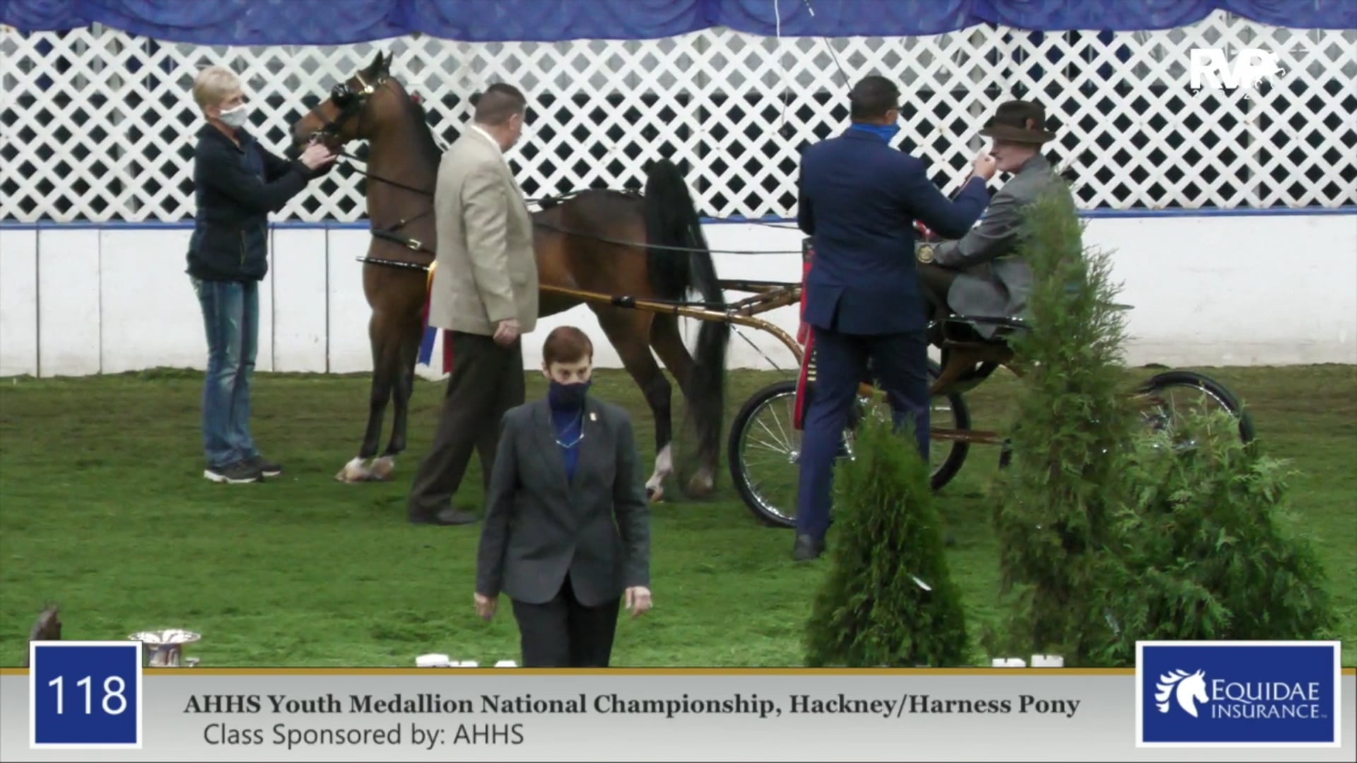 2020 AR - Class 118 AHHS Youth Medallion Hackney:
Harness Pony National 
Championship
