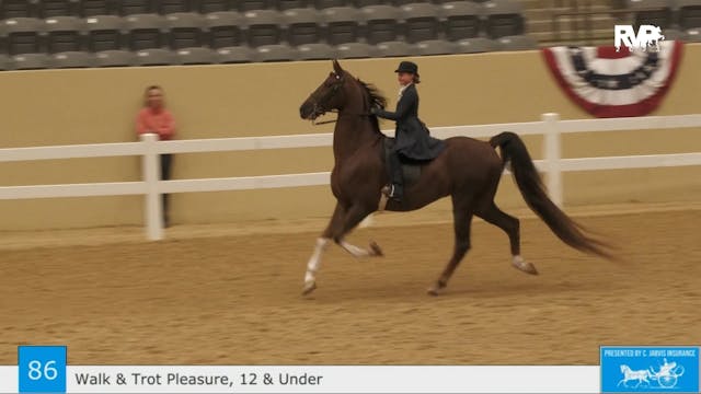 KFC23 - Class 86 - Walk-Trot Pleasure...