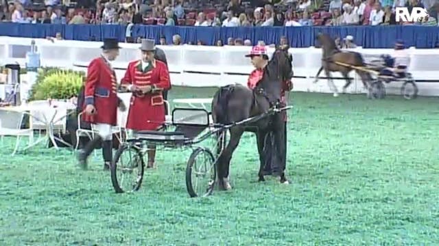 2010 World's Championship Horse Show ...