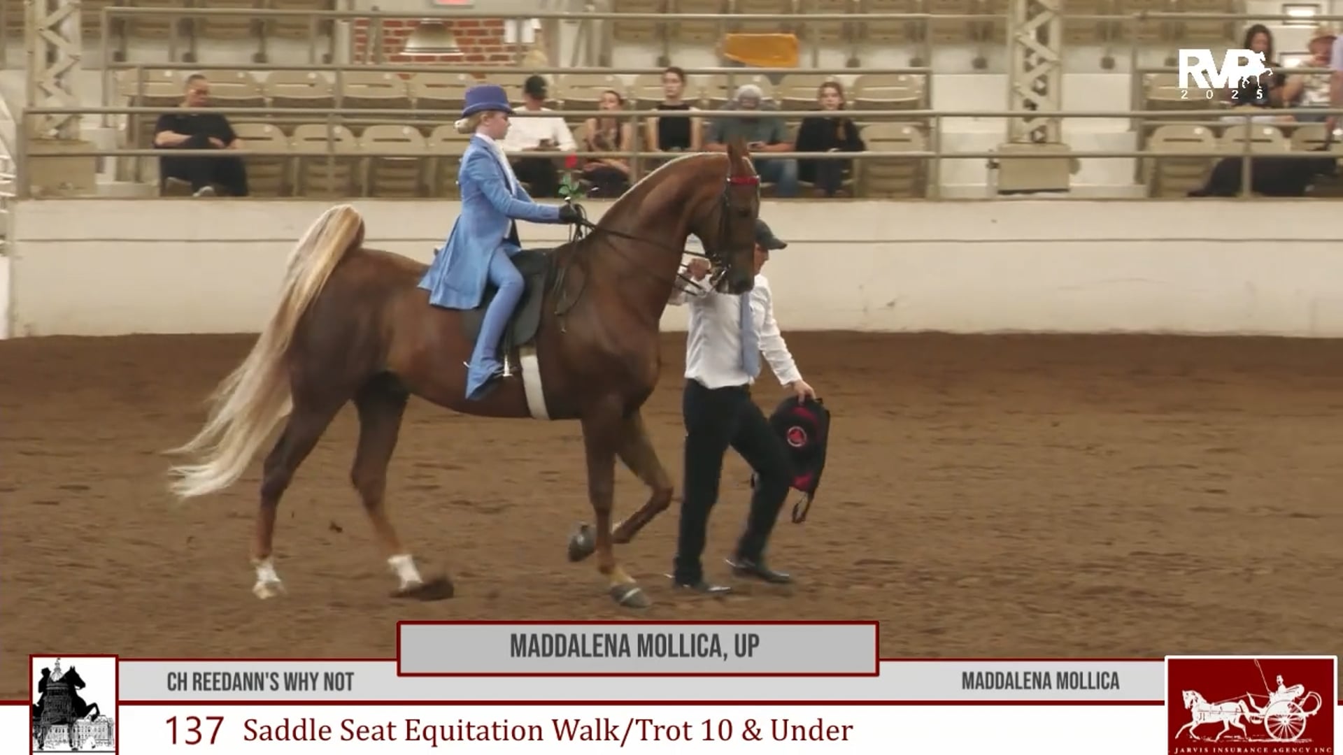 MW25 - Class 137 - Maddelena Mollica, Up and CH Reedann's Why Not