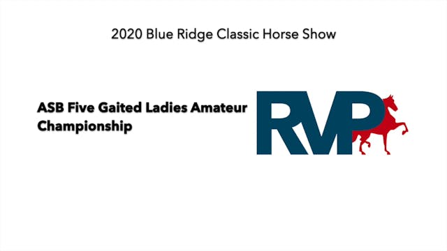 2020 BR - Class 163 ASB Five Gaited L...