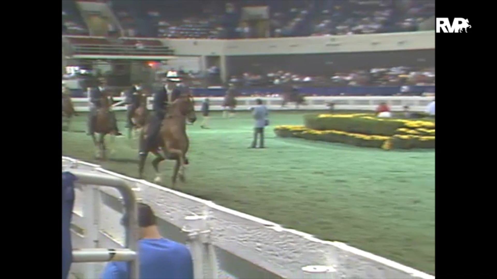 1993 WCHS Class 163 Two Year Old Three Gaited Stake