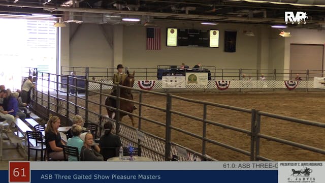 AAC22 - Class 61 - ASB Three Gaited S...