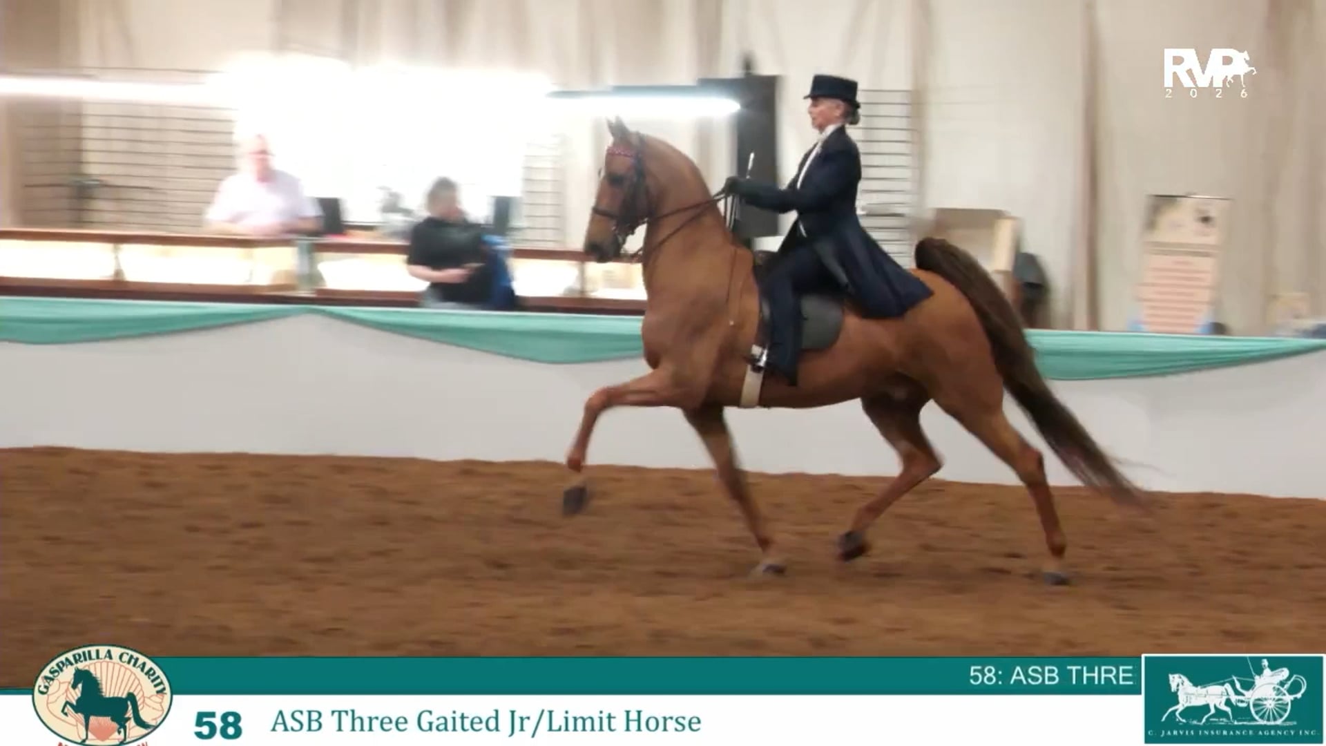 GC26 - Class 58 - ASB Three Gaited Jr-Limit Horse