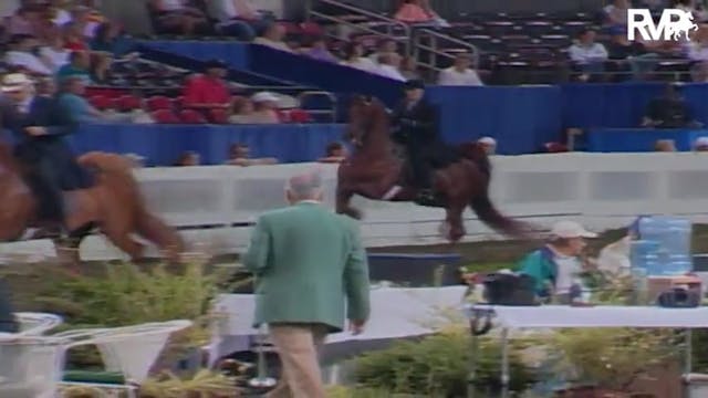 2004 World's Championship Horse Show ...