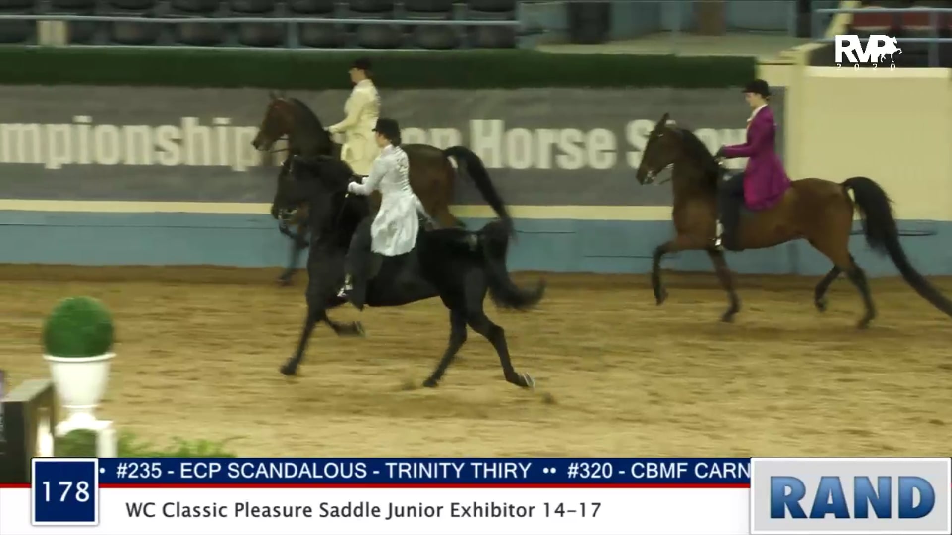 2020 MGN - 178 WC Classic Pleasure Saddle Junior Exhibitor 14-17