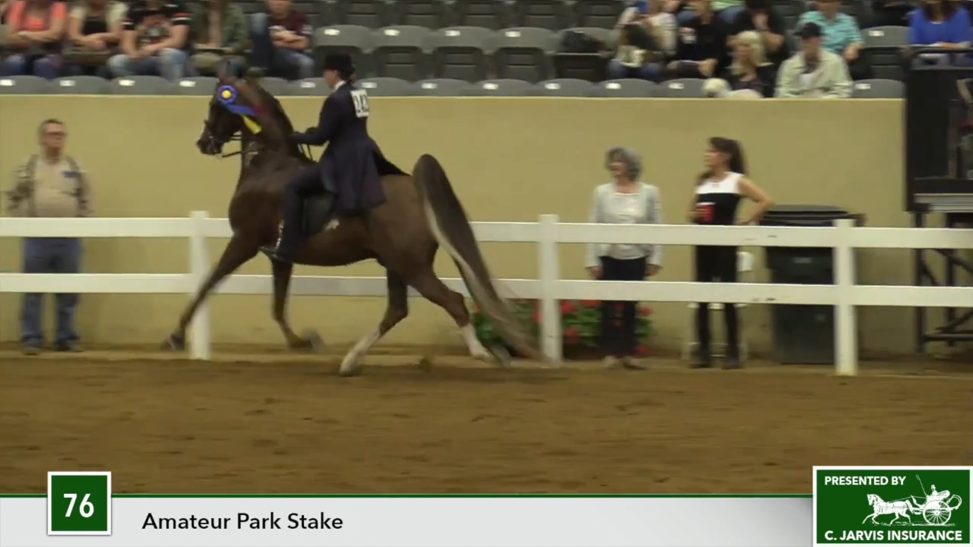 KYSP17 - CH Stonecroft Nightlight 