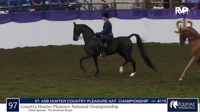 AR23 - Class 97 - Hunter Country Plea...