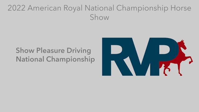 AR22 - Class 142 - Show Pleasure Driv...