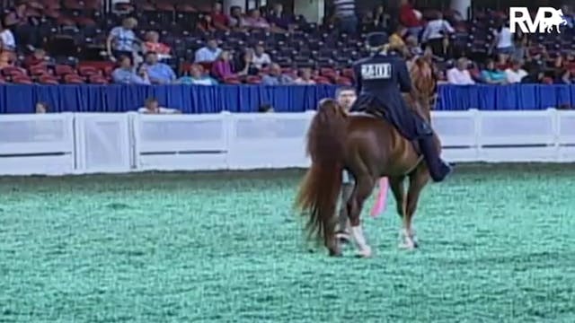 2009 World's Championship Horse Show ...