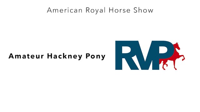 AR24 - Class 36 - Amateur Hackney Pony