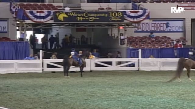 2006 WCHS Class 65 Equitation Open Ri...