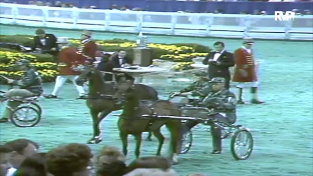 1991 WCHS Class 6 Kentucky County Fai...
