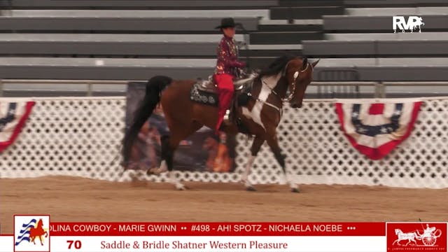 AAC24 - Class 70 - Saddle & Bridle Sh...