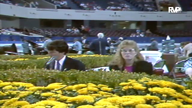 1992 WCHS Class 15 AHHS Futurity Two ...