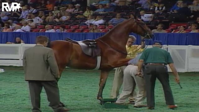 2004 World's Championship Horse Show ...