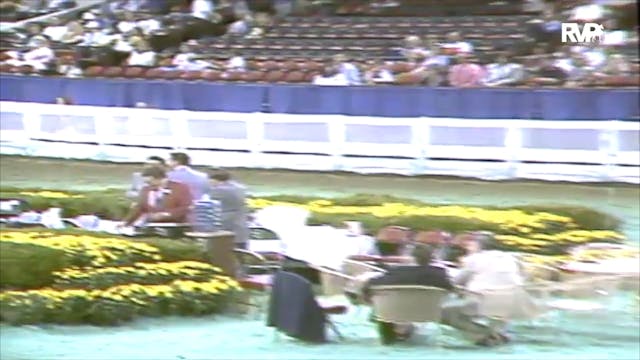 1991 WCHS Class 91 Kentucky Equitatio...