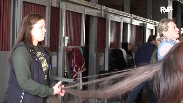 2023 American Royal - Wednesday Morning