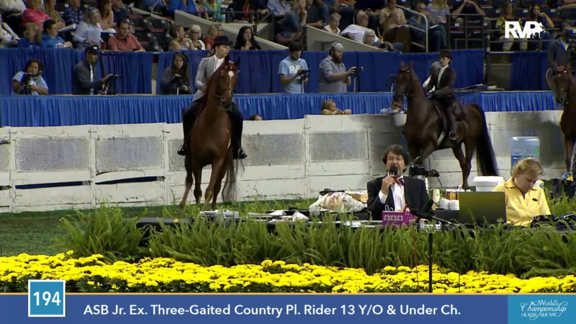 2015 WCHS - Class 194 ASB Junior Exhibitor Three Gaited Country Pleasure, Rider 13 Years Old & Under Championship