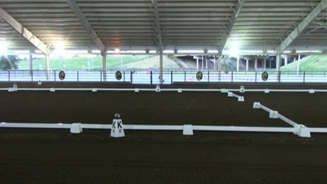 MGN16 - Sport Horse 2 - Sunday Morning
