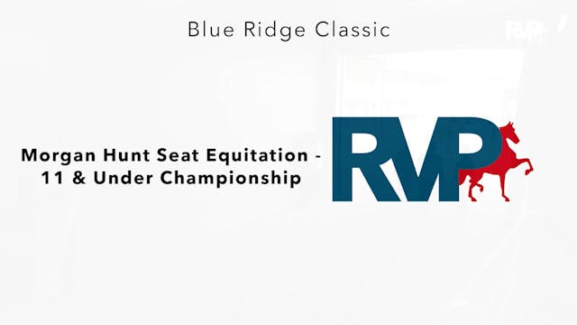 BR24 - Class 155 - Morgan Hunt Seat E...