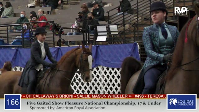 2020 AR - Class 166 Five Gaited Show ...