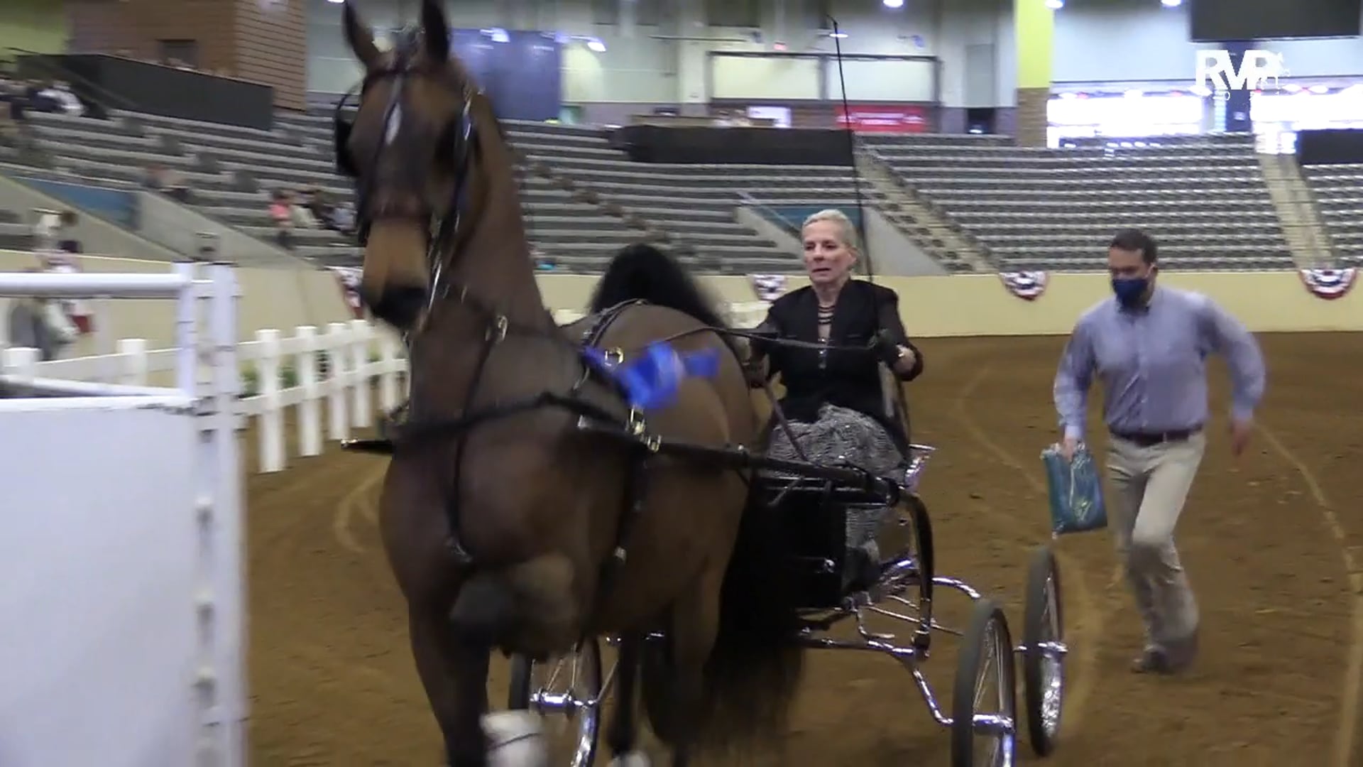 KYSP21 - Class 16 - FIne Harness Amateur