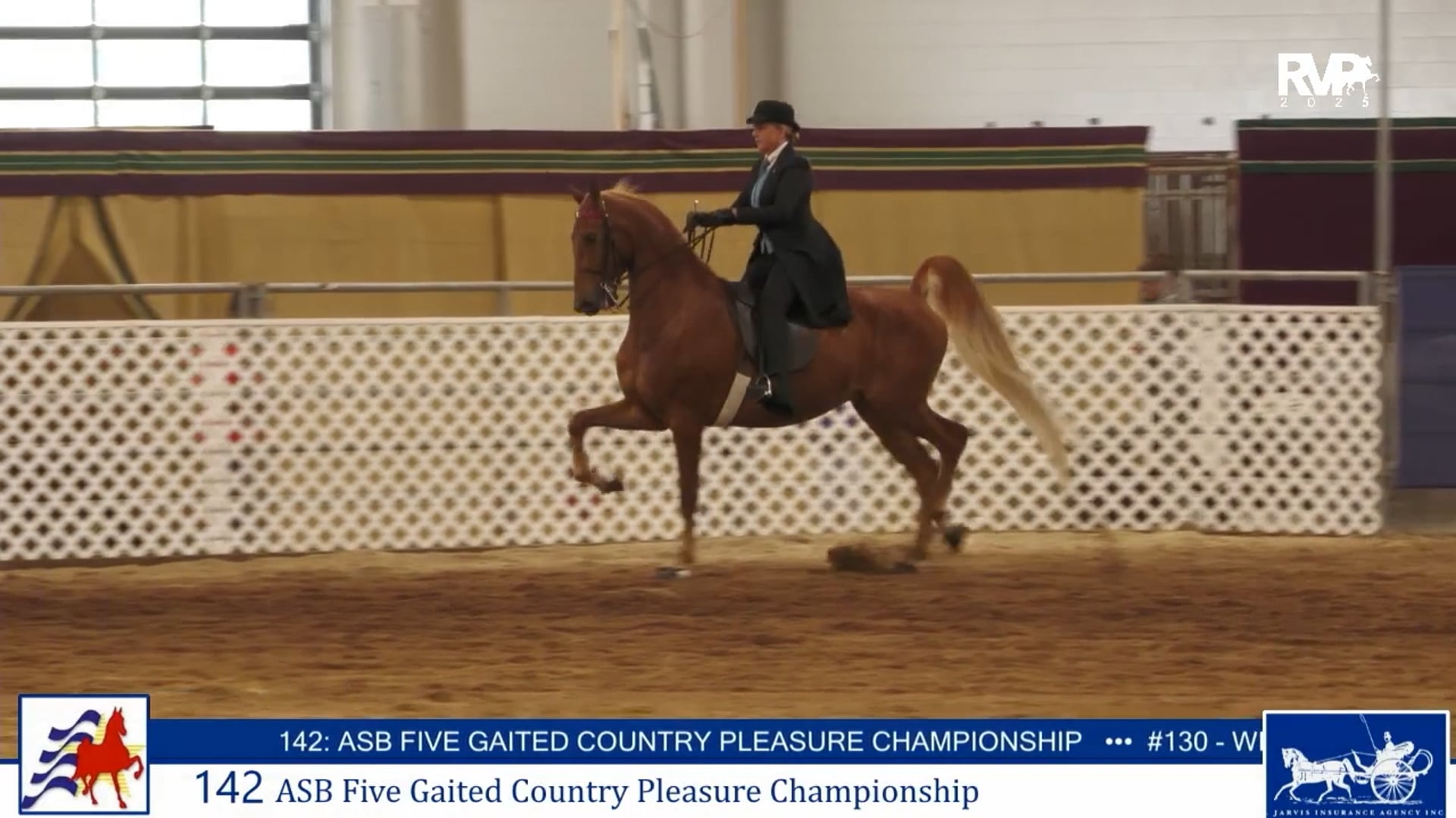 AAC25 - Class 142 - ASB Five Gaited Country Pleasure Championshipo