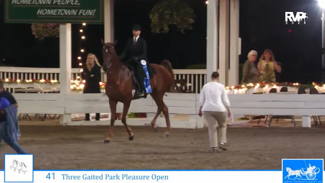 SSC25 - Class 41 - Doctor Love and Sa...