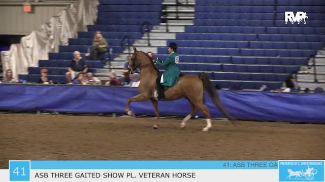 GASP23 - Class 41 - ASB Three Gaited ...