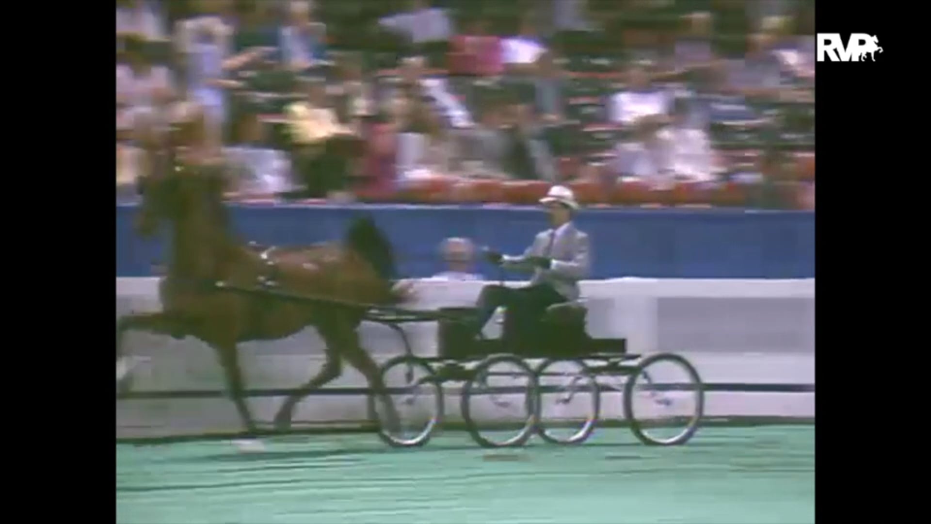 1993 WCHS Class 149A ASHA National Three Year Old Futurity Fine Harness Finals