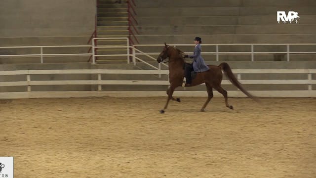 ASF22 - Class 86 - ASHA Alpha:Novice ...