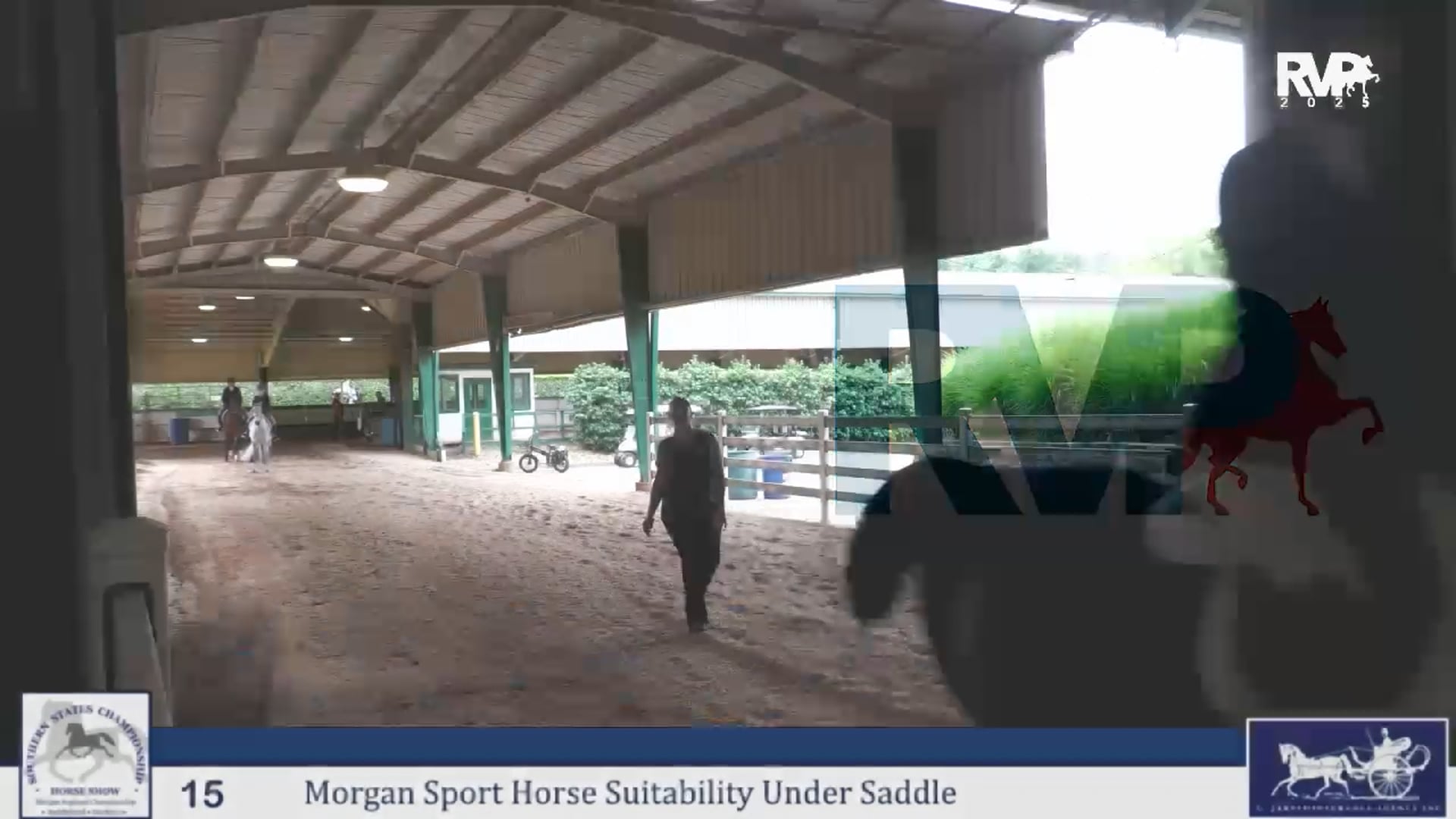 SS25 - Class 15 - Morgan Sport Horse Suitability Under Saddle